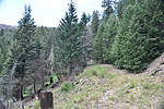 photo thumbnail #4