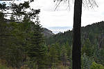 photo thumbnail #11