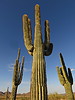 photo thumbnail #10