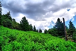 photo thumbnail #8