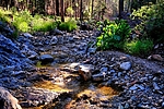 photo thumbnail #10