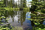 photo thumbnail #14