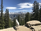 photo thumbnail #3