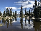 photo thumbnail #2