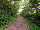 photo thumbnail #1