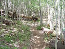 photo thumbnail #6