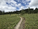 photo thumbnail #5