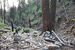 photo thumbnail #2