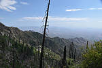 photo thumbnail #11