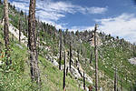 photo thumbnail #12