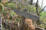 photo thumbnail #13