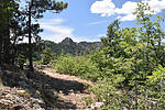 photo thumbnail #15