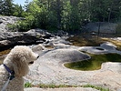 photo thumbnail #11