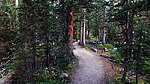 photo thumbnail #2
