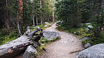 photo thumbnail #3