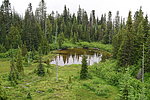 photo thumbnail #15
