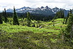 photo thumbnail #14