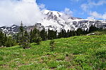 photo thumbnail #15