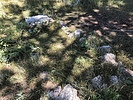 photo thumbnail #12