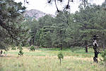 photo thumbnail #4