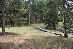 photo thumbnail #11
