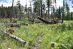 photo thumbnail #12