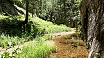 photo thumbnail #10