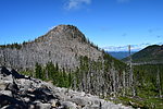 photo thumbnail #1