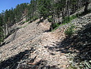 photo thumbnail #5