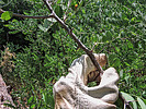 Featured Detail Photo