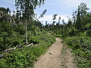 photo thumbnail #1