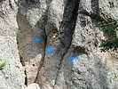 photo thumbnail #3
