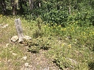 photo thumbnail #7