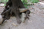 photo thumbnail #11