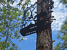photo thumbnail #5