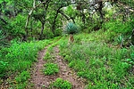 photo thumbnail #2