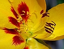 photo thumbnail #5