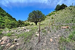 photo thumbnail #11