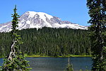 photo thumbnail #12