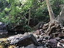 photo thumbnail #12