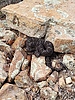 photo thumbnail #9