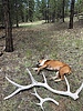 photo thumbnail #1