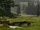 photo thumbnail #10