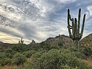 photo thumbnail #13