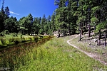 photo thumbnail #12