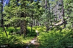 photo thumbnail #15