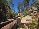 photo thumbnail #15