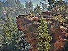 photo thumbnail #11