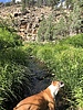 photo thumbnail #8