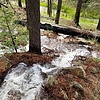 photo thumbnail #10